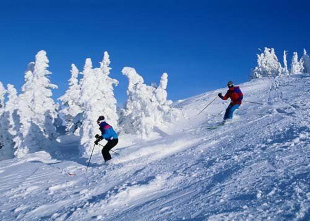 The Chateau Resort Tannersville Facilities photo