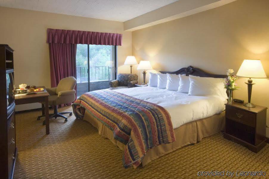 The Chateau Resort Tannersville Room photo